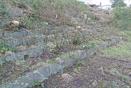 Stadion Donnerschwee