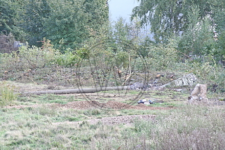 Stadion Donnerschwee