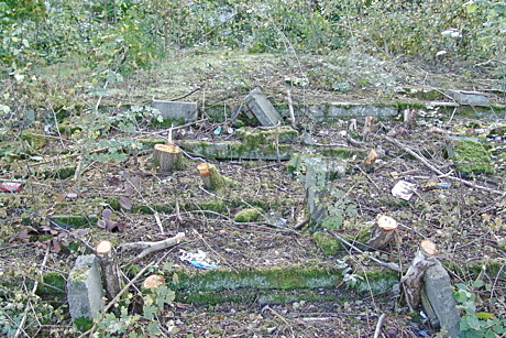 Stadion Donnerschwee