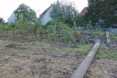 Stadion Donnerschwee
