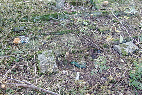 Stadion Donnerschwee