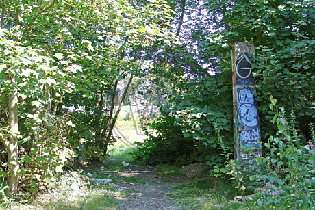 Alte Kampfbahn, Stadion Donnerschwee