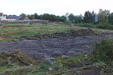 Stadion Donnerschwee