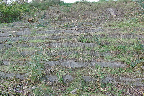 Stadion Donnerschwee