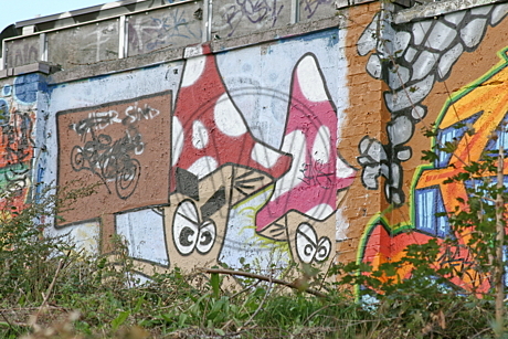 Stadion Donnerschwee