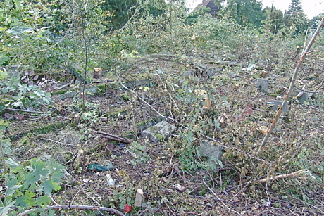 Stadion Donnerschwee