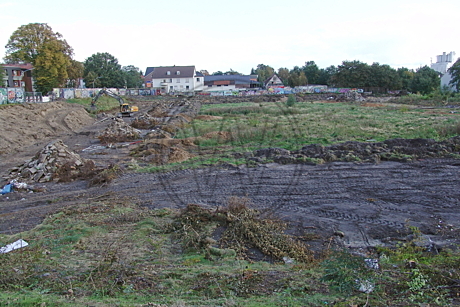 Stadion Donnerschwee