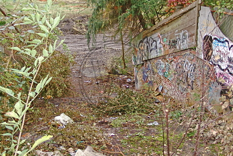 Stadion Donnerschwee